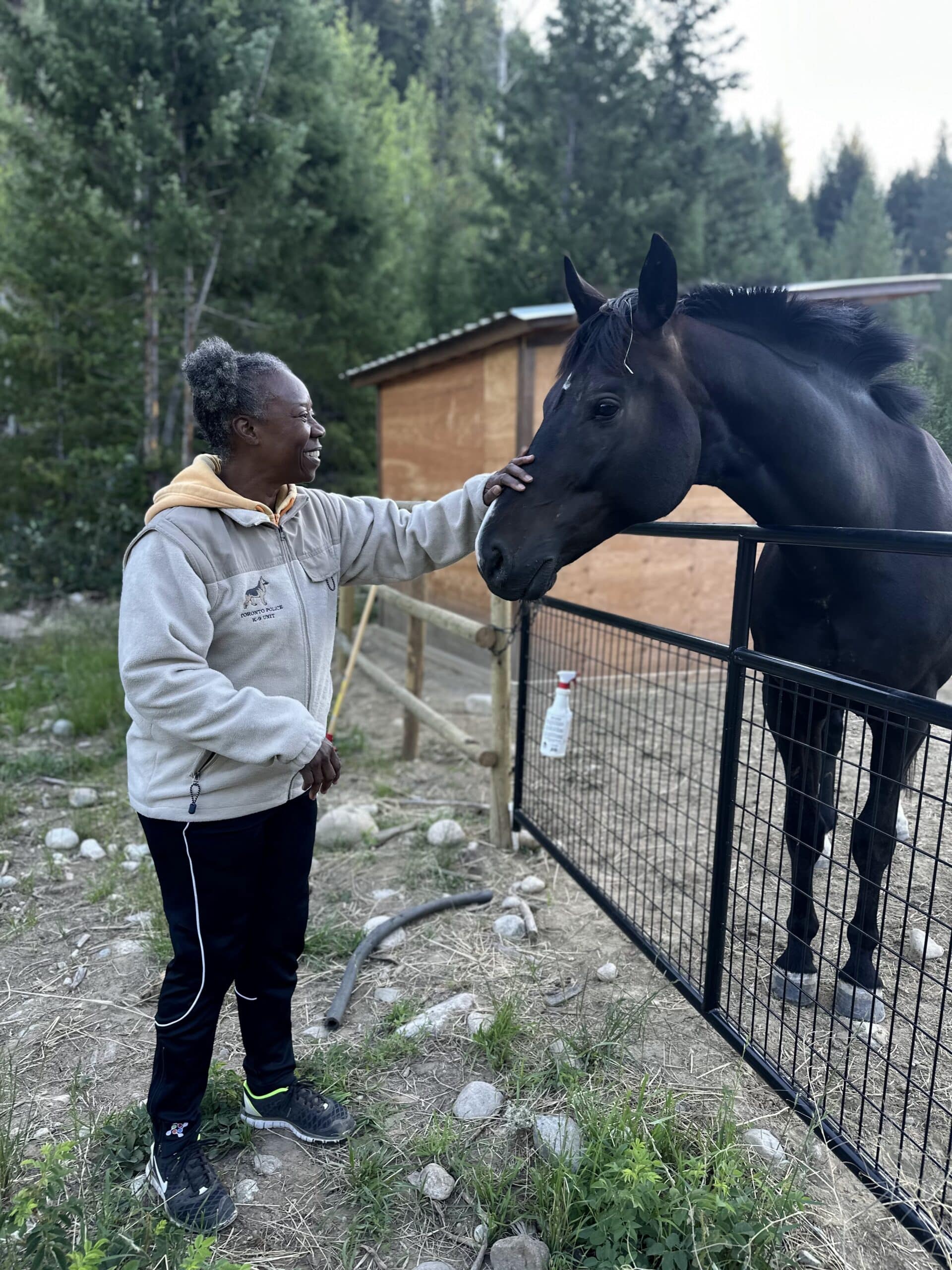 Woman petting a black horse over a metal fence in a rural outdoor setting with trees and a wooden structure in the background.