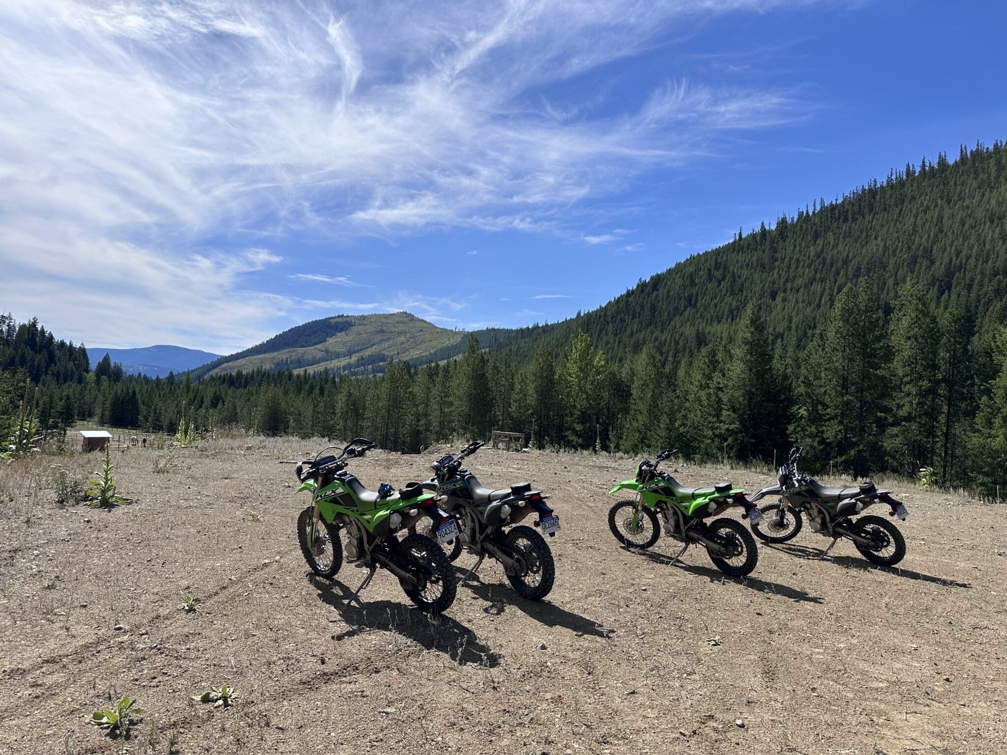 Four dirt bikes parked on a dry terrain with pine trees and mountains under a blue sky with wispy clouds.