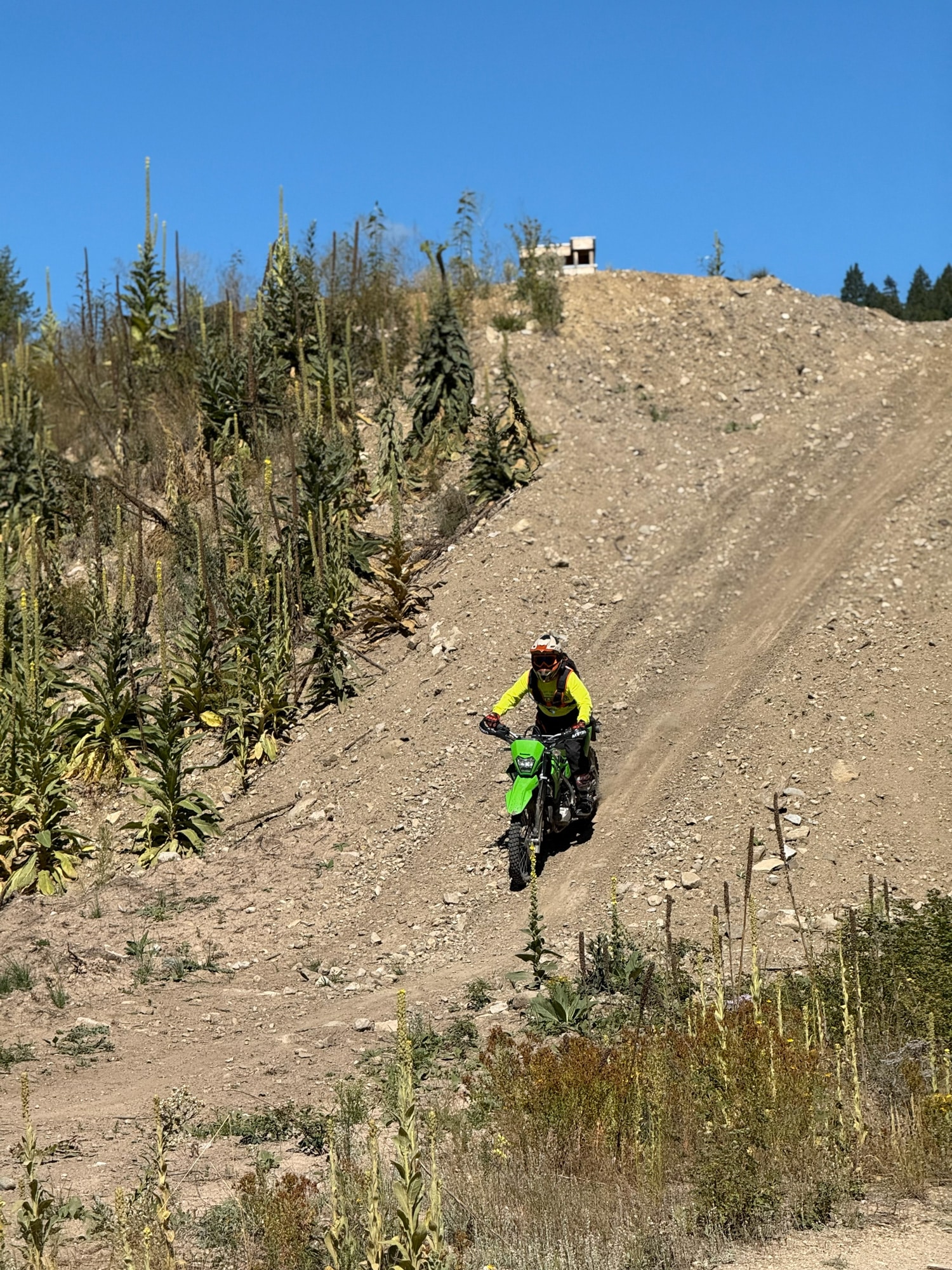 A rider in a bright yellow shirt navigates a dirt bike up a steep, rocky hill surrounded by lush greenery and blue skies.