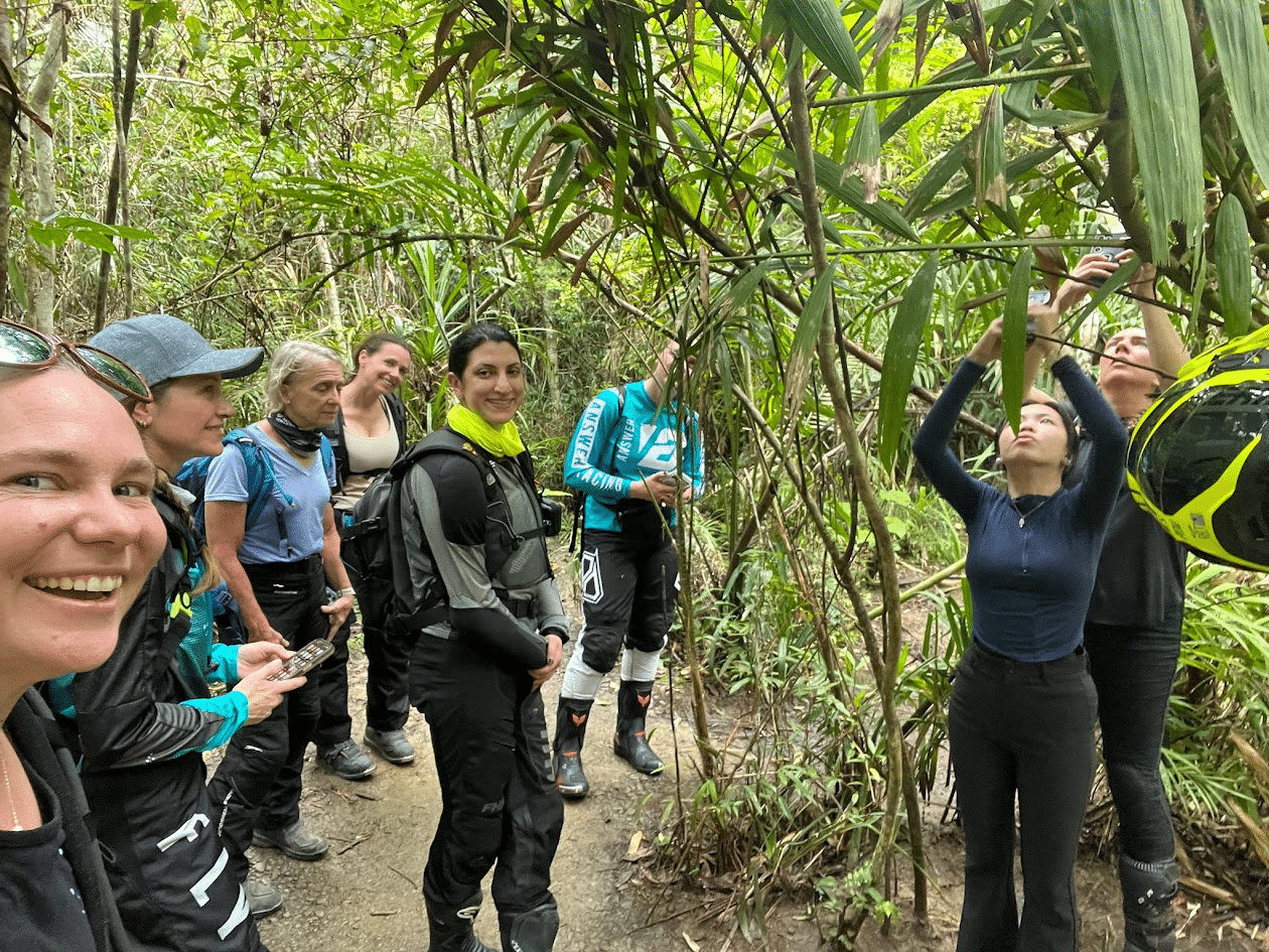 Group of hikers exploring a lush forest, with one person demonstrating plant identification while others observe attentively, showcasing outdoor education and nature appreciation.