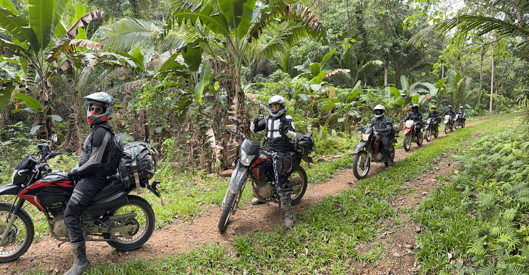 Group of motorcyclists riding on a dirt trail through a lush tropical forest with green foliage and palm trees.