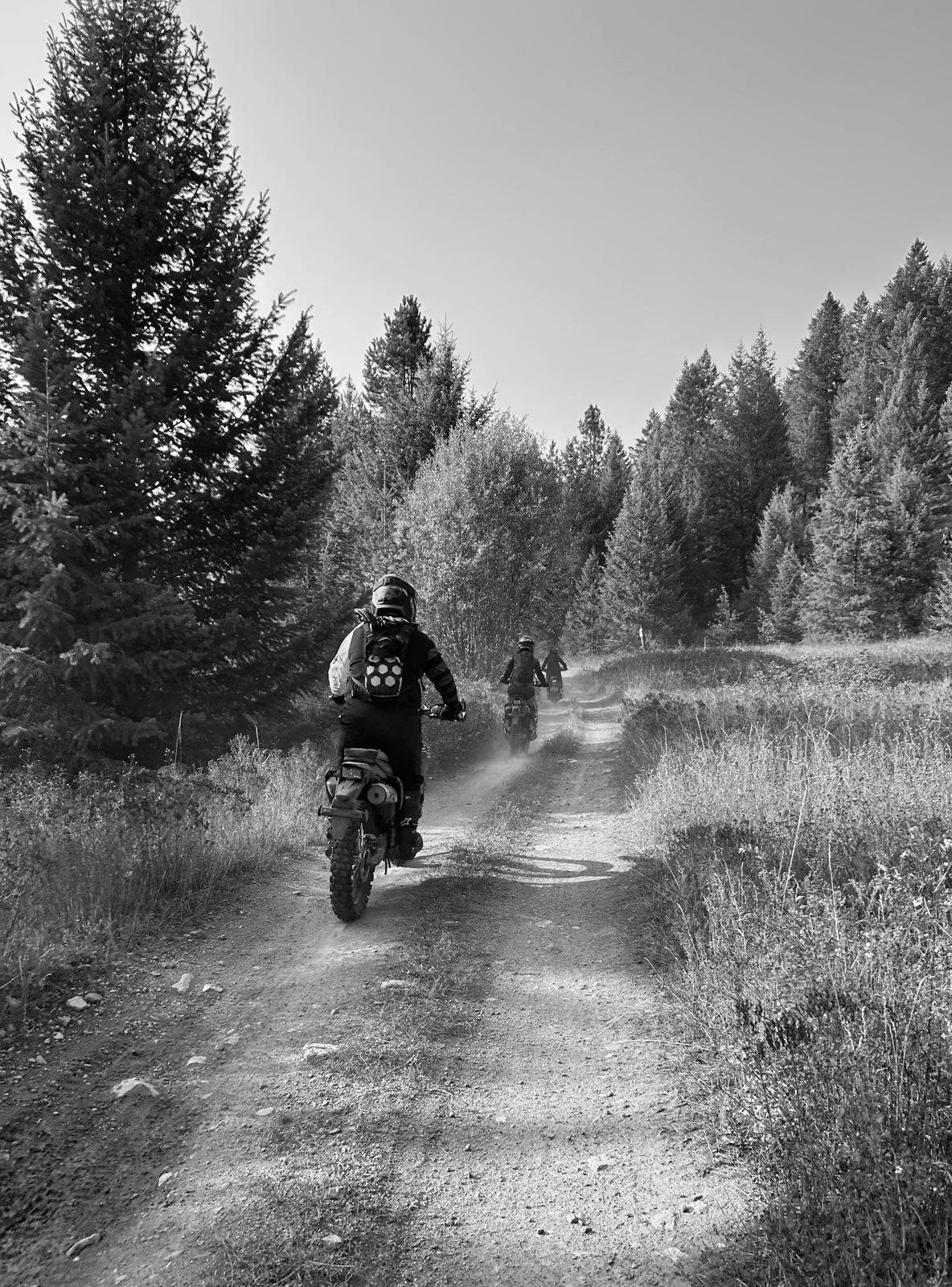Two motorcyclists riding on a dirt trail surrounded by tall trees and greenery, captured in black and white.